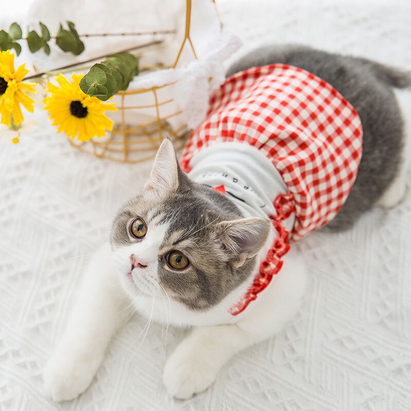 Váy caro dây yếm cho chó mèo - váy cho cho mèo - quần áo cho thú cưng