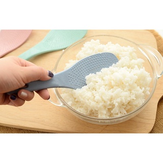 COMBO 3 Muôi Cơm Lúa Mạch vrg1600 Lamon Store