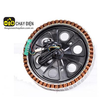 LÕI  Đông Cơ Xe Điện 350W bi hai bên 6202-6203