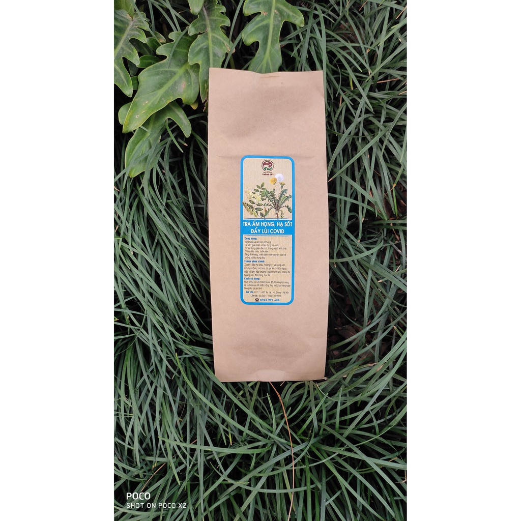 Set quà tặng tết SỨC KHỎE VÀNG Thông Cát tăng cường sức đề kháng, bảo vệ sức khỏe - Combo quà Tết 2022 | BigBuy360 - bigbuy360.vn