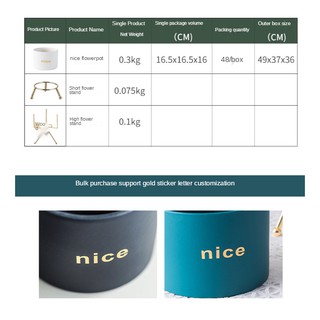 Chậu Cây Dễ Thương Trồng Sen Đá, Trang Trí Bàn Làm Việc / Sân Vườn / Nhà Cửa / Văn Phòng