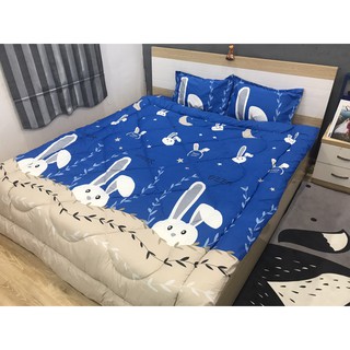 Combo 1 Ga Chun Kèm 2 Vỏ Gối Nằm PoLy 1M4*2M THỎ XANH