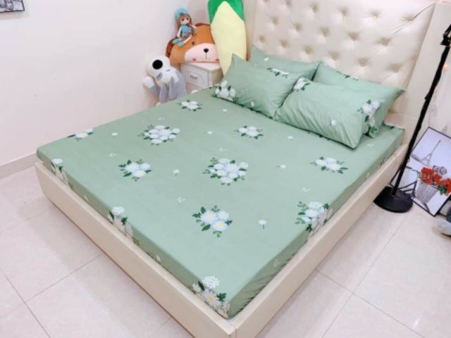 Bộ ga gối poly cotton pari