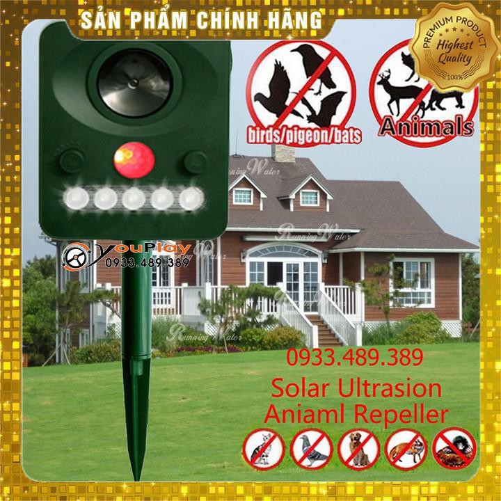 Máy đuổi chuột a2 AMB, thiết bị đuổi động vật bằng công nghệ cảm biến hồng ngoại.