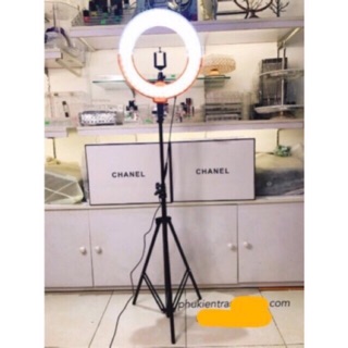 Cây Đèn 26cm livestream , trang điểm, spa kèm chân đế cao 2 mét