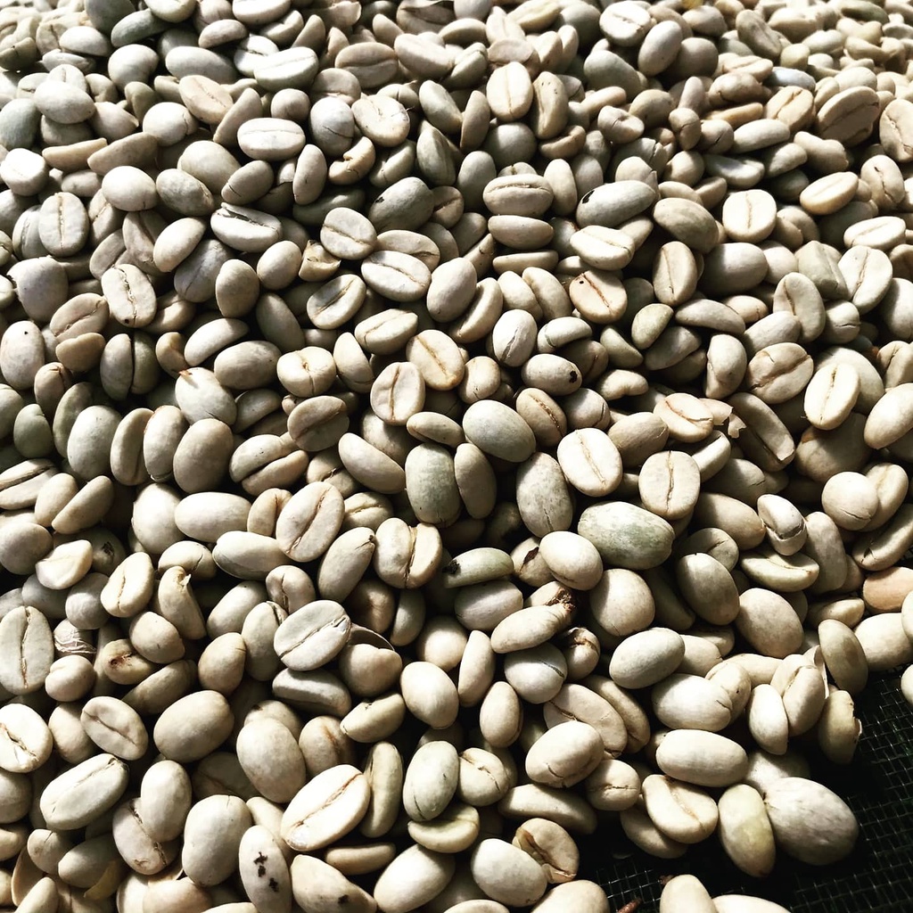 250gr- Dòng Natural (Chua thanh, hậu vị ngọt ngào) - Cà Phê Arabica Núi Min - Cầu Đất