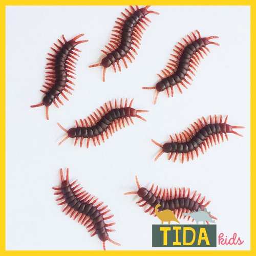 Combo 10 Rết Giả ⚡ Hot Trend ⚡ Đồ Chơi Côn Trùng Giả Bằng Nhựa, Trang Trí Halloween, Đồ Chơi Giải Trí TiDa Kid Shop