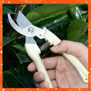 Kéo cắt tỉa cành cây chất lượng tốt, giá cạnh tranh