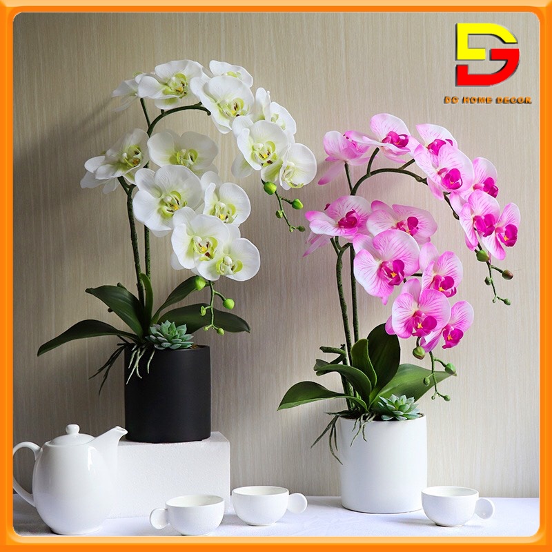 Bình Hoa Để Bàn Hoa Lan Hồ Điệp Cao Cấp Điểm Sen Đá Độc Đáo Sang Trọng DG-62