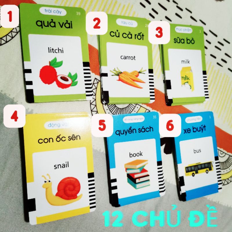 Máy đọc thẻ Flashcard tiếng anh việt song ngữ 12 chip giọng chuẩn hay có 224 từ tiếng Anh và 224 từ tiếng Việt