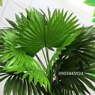 Cây Cọ Trang Trí cao 45cm- Cây Giả