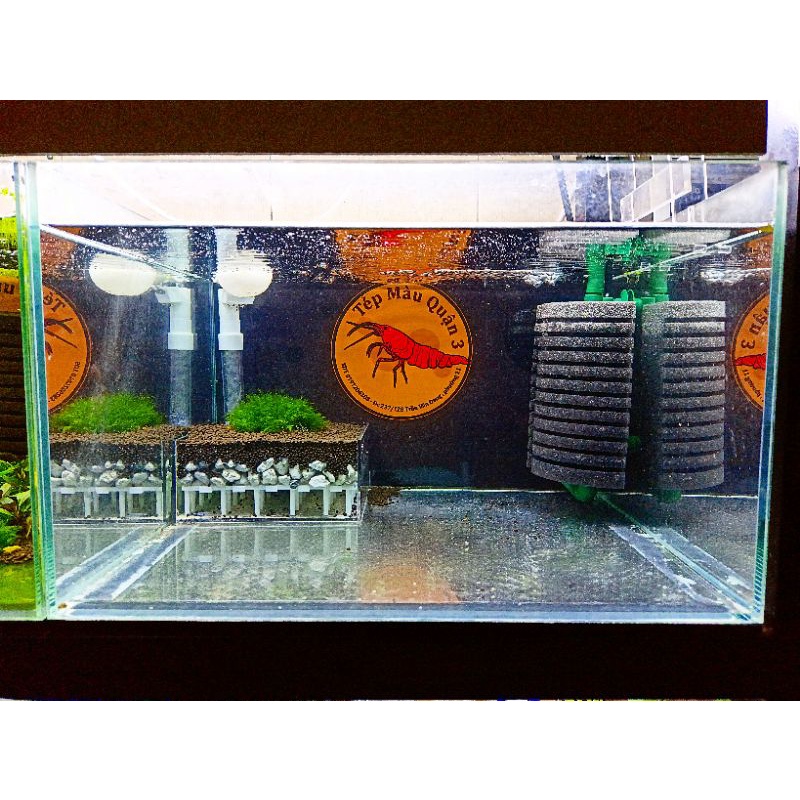 FULL BỘ LỌC ĐÁY TAIWAN VỈ + MỎ VỊT + SỦI + BOX