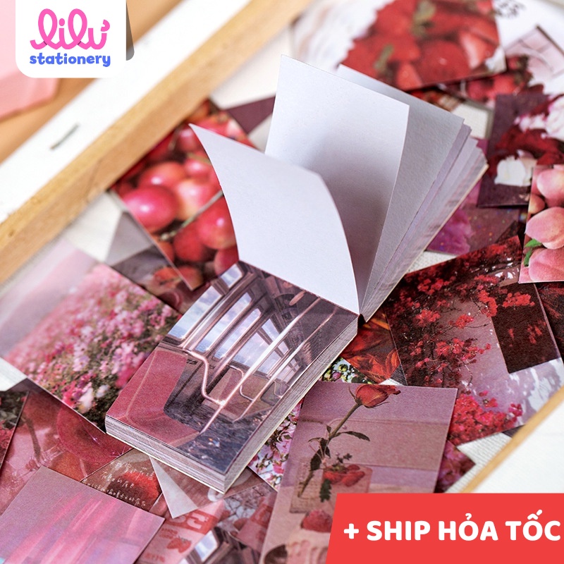 Sticker dán sổ vintage set 50 miếng dán book phong cách tươi trẻ HD36-K81