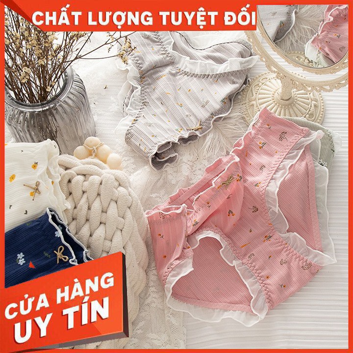 Quần Chip Pha Ren Xinh Xắn Nhẹ Nhàng - Dễ Dàng Giặt Giũ - Cotton Co Dãn Thoải Mái - Có Thể Làm Quà Tặng - Hoạt Tiết Cute