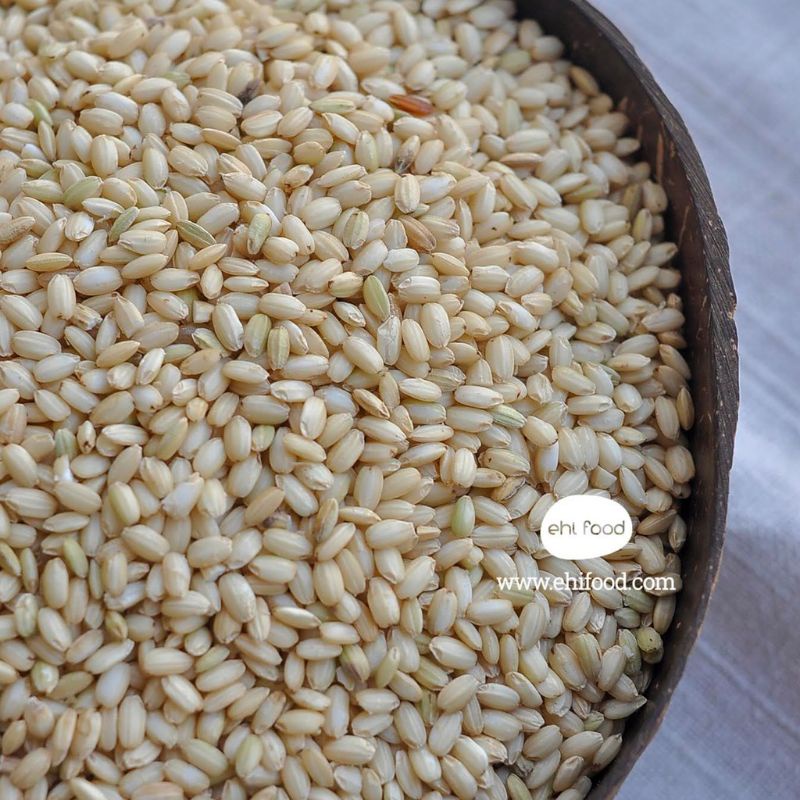 Gạo Nếp Lứt Bắc