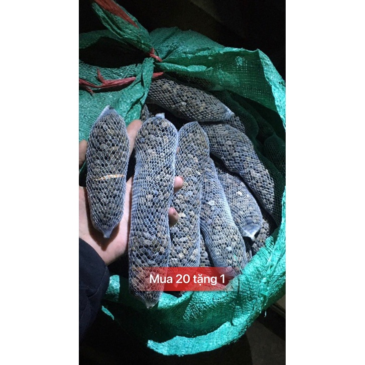 Phân dê trồng hoa lan đã xử lý nấm mốc, phân dê đóng túi treo, đặt chậu trồng hoa lan tiện lợi