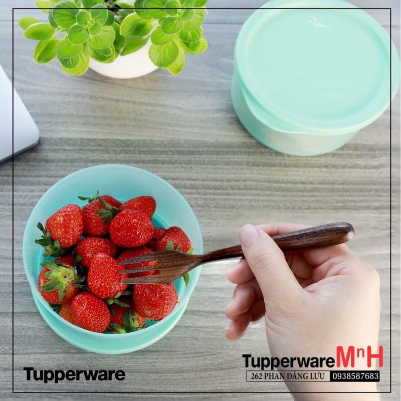 Hộp bảo quản thực phẩm dùng để trữ khô trữ mát chính hãng Tupperware đa dạng mẫu mã và kích thước