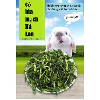 CỎ LÚA MẠCH HÀ LAN 500G CHO THỎ, BỌ