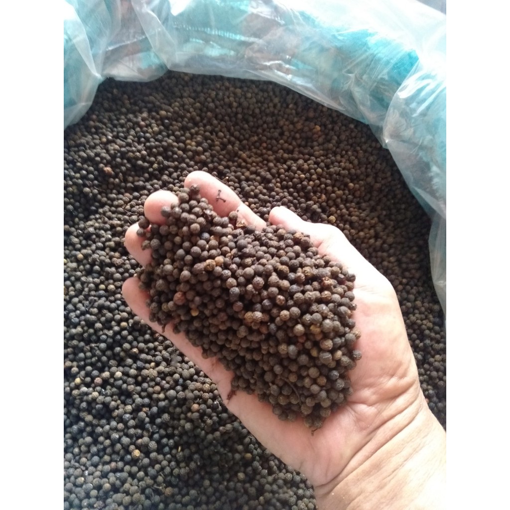 1kg Tiêu rừng Kon Tum ( màng tang) hút chân không