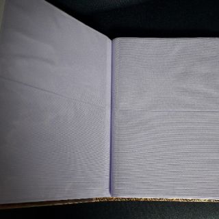 ABLUM 100  ẢNH 20X30