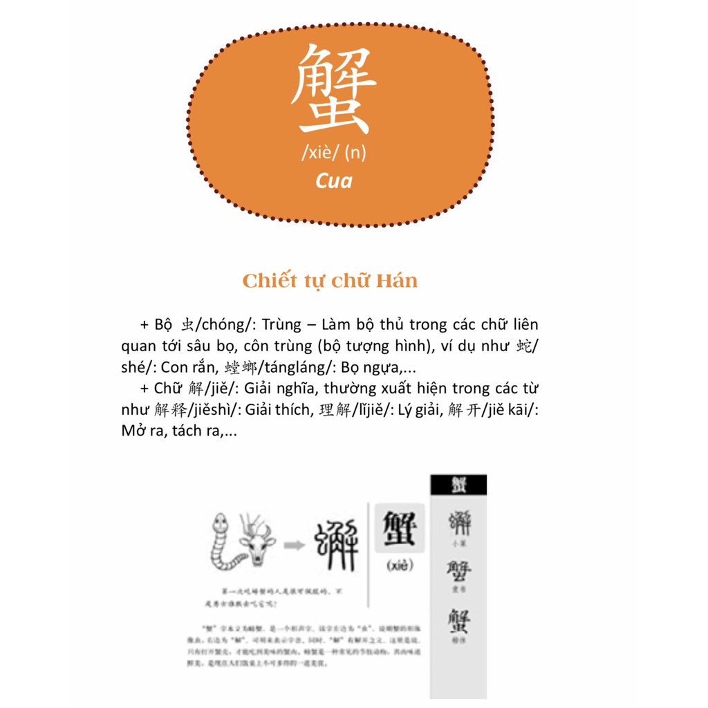 Sách-Combo 3: Câu Chuyện Chữ Hán – Cuộc Sống Hàng Ngày  – Giao Thông Kiến Trúc – Thế Giới Động Vật KTbooks+ DVD Tài Liệu