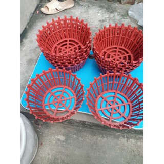 10 cái giỏ nhựa trồng cây lan phi 20cm