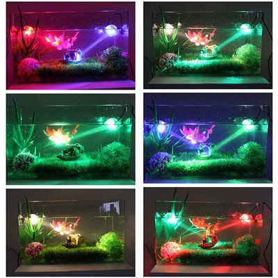 Đèn Led Tròn RX-M01 Cổng Sạc USB Cá , Hồ Thủy Sinh Ánh Sáng Cam