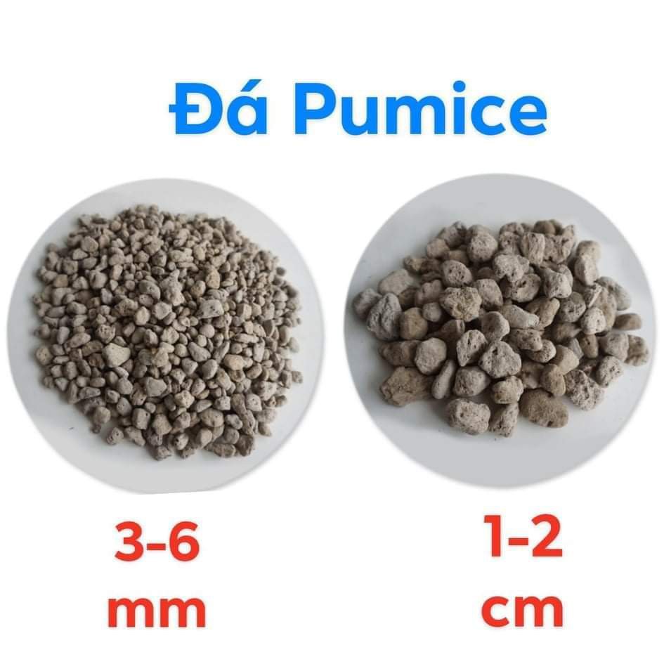 (1kg) Đá pumice, đá bọt núi lửa size 3-6mm, đá trồng sen dá, xương rồng