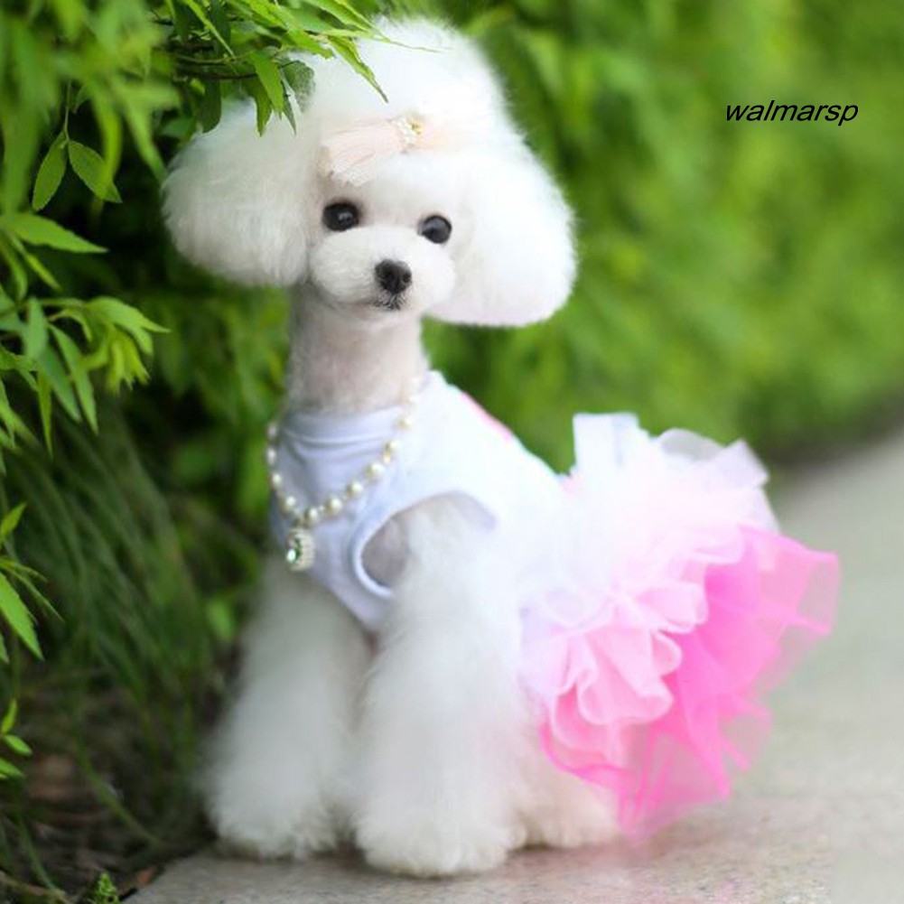 Đầm Tutu Vải Lưới Ren Xếp Tầng Điệu Đà Cho Cún Cưng
