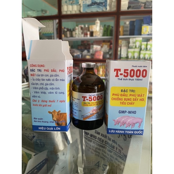 T5000 sưng phù đầu tiêu chảy heo con