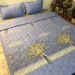 Bộ ga gối chăn hè 5 món poly cotton