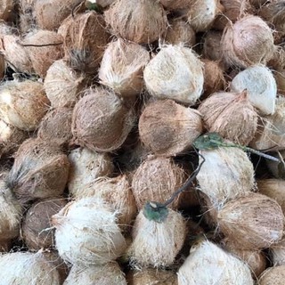 Combo 3 Trái Dừa Khô Đê Làm Bánh