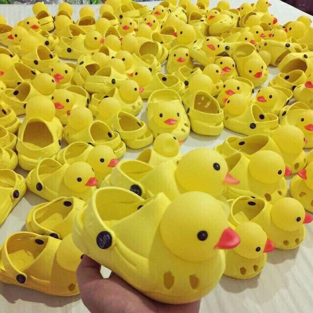 Dép Vịt