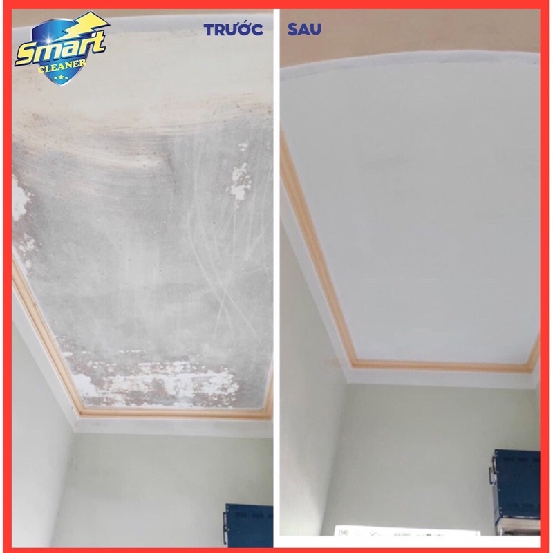 (CHÍNH HÃNG) Chất tẩy mốc TM-01- tẩy mốc trên mọi vật liệu như tường, gỗ, vải, cao su hiệu quả, nhanh chóng