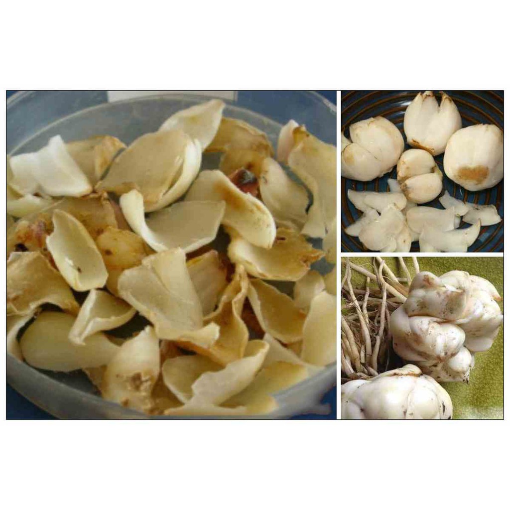 Bách hợp khô / Củ tỏi rừng  100g