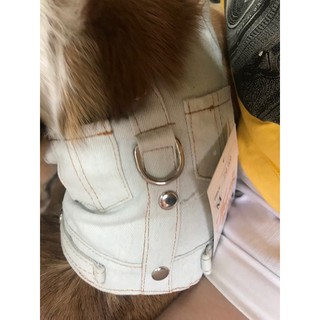 Áo yếm kết hợp dây dắt cho chó mèo