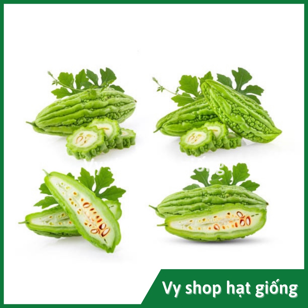 Hạt giống mướp đắng lai Thái Lan gói 5 hạt