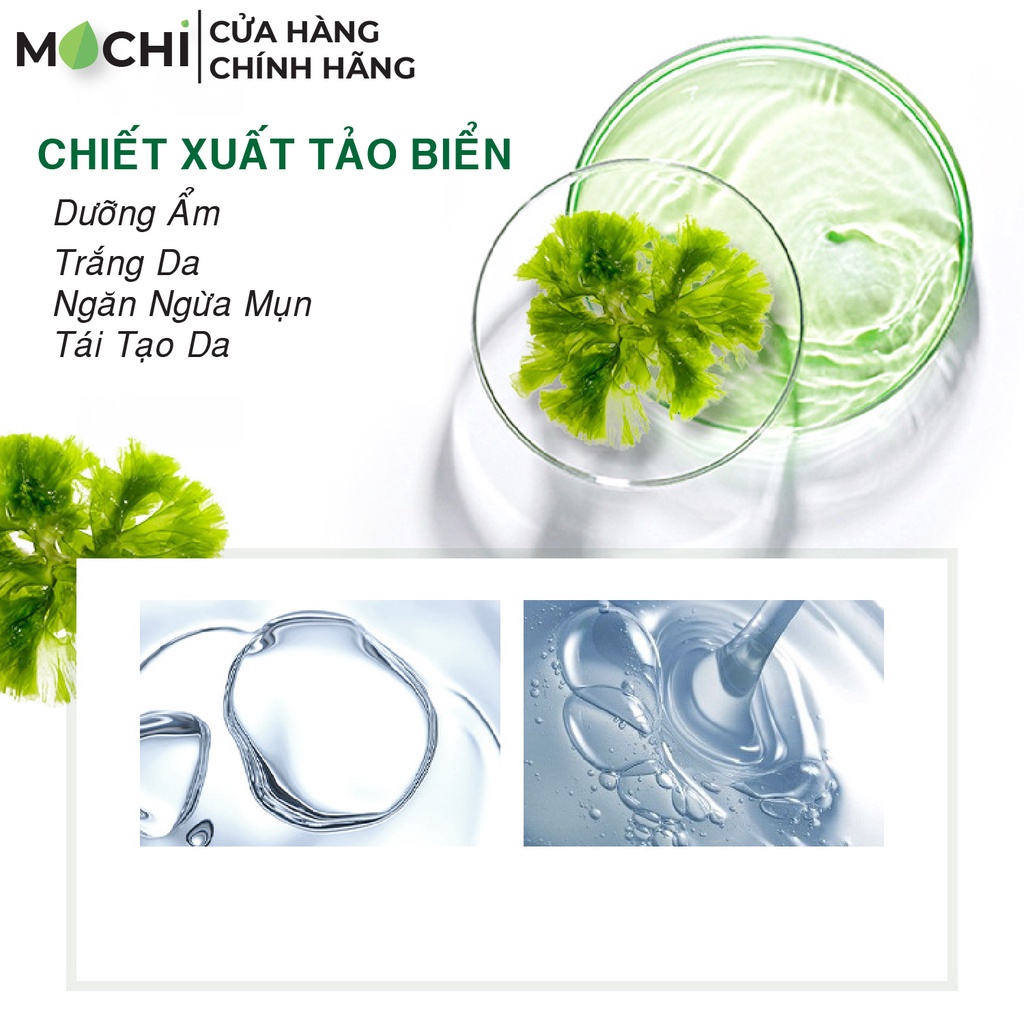 Mặt Nạ Ngủ Tảo Biển Dưỡng Trắng Da Cấp Ẩm Ngừa Mụn Mask Rong Biển Seaweed Laikou Nội Địa MOCHI SHOP Nha Đam Lô Hội