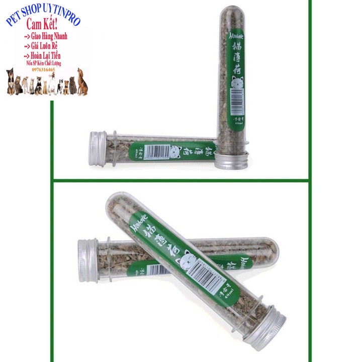 Ống cỏ Cat Mint cho Mèo Ống 10g Giúp thú cưng thư giãn, Xả stress, Bổ sung vitamin,Cân bằng dinh dưỡng, Tốt cho tiêu hóa