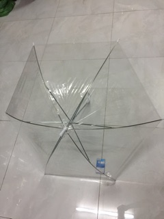 Ô dù trong suốt