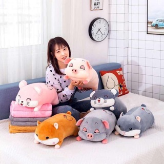 SÉT GẤU BÔNG CÓ MỀN 3in1 HÌNH THÚ CƯNG