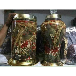 MINH MẠNG THANG (2 tắc kè)