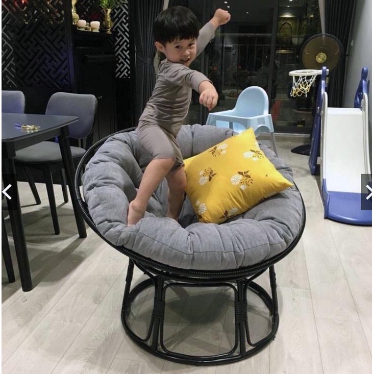 Ghế Thư Giãn Papasann Ghế Mây khung thép bọc nhựa dãn đọc sách decor nhà kèm nệm cao cấp khung sắt- bảo hành 5 năm-HÀNG