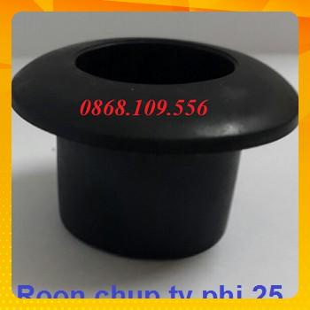 Ron chụp ngoài ty phi 25 máy nước nóng năng lượng mặt trời