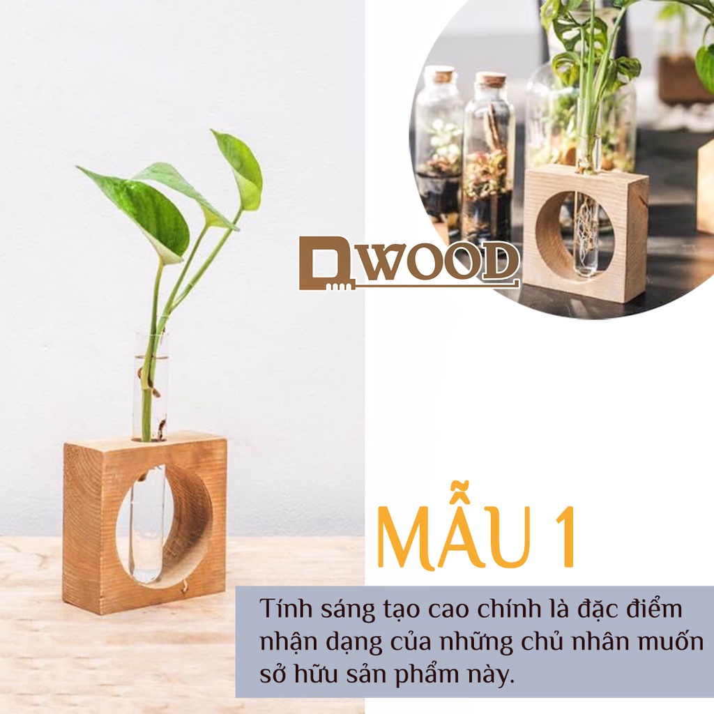 Đế gỗ Dwood đựng ống nghiệm trồng cây và trang trí M1