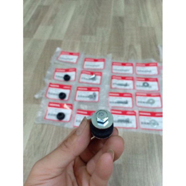 Bộ Ốc Treo Đuôi Sau Xe Dream-Lắp Cho Dream Và Wave Honda Các Loại -đẹp như zin 100%