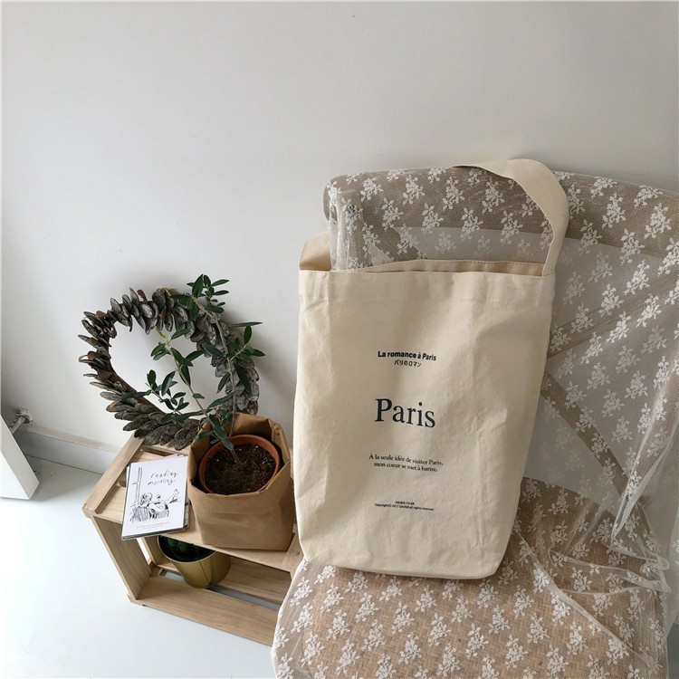 [BẢN MỚI NHẤT] Túi vải bố đựng đồ canvas thời trang Hazin, túi vuông PARIS hàng chất lượng HZ 38