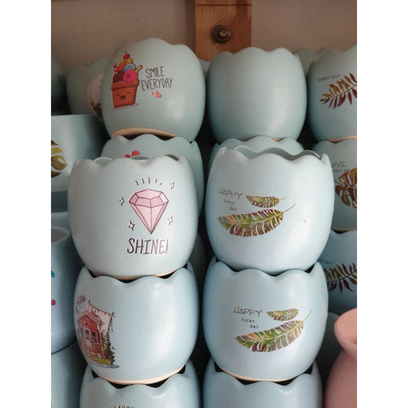 Chậu hạt dẻ bộ trồng sen đá và cây cảnh để bàn