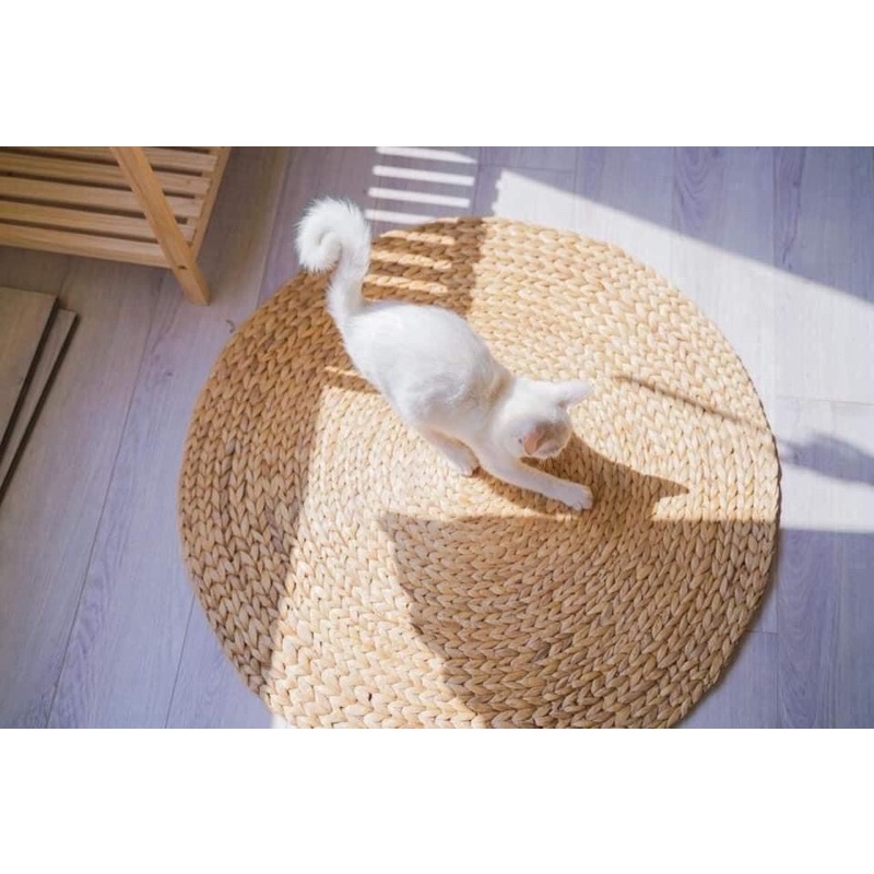 THẢM LỤC BÌNH TRẢI SÀN DECOR PHÒNG LOẠI DÀY