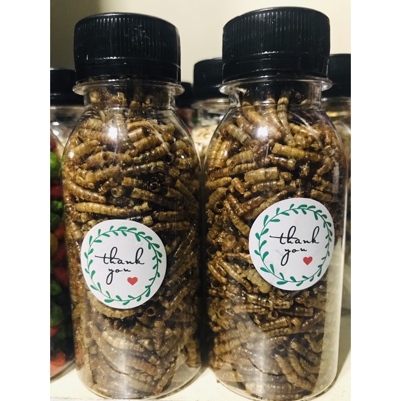 ❤️❤️Super sâu to thơm ngon ,bổ béo Cho hamster ,nhím ,sóc uc ,sóc bay